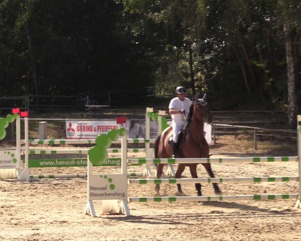 Reitturnier Lgl.-Oberhain, B95 2024