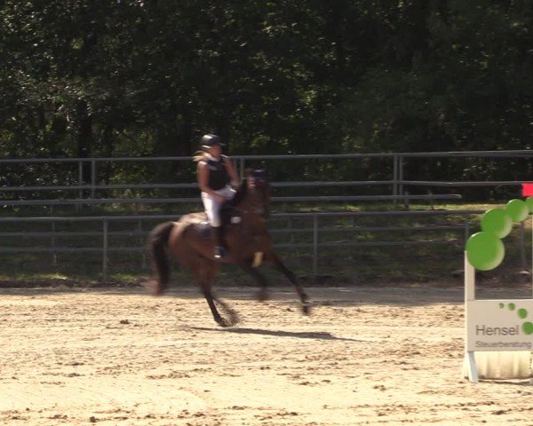 Reitturnier Lgl.-Oberhain, B95 2024