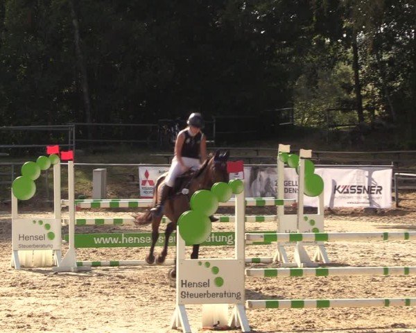 Reitturnier Lgl.-Oberhain, B95 2024