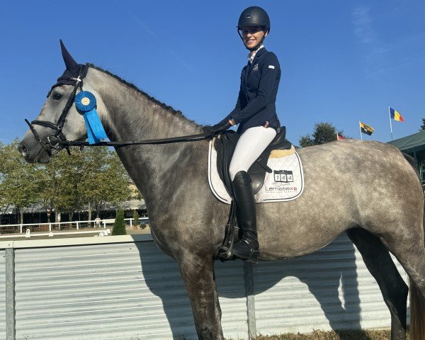jumper Elli FZ (German Sport Horse, 2020, from El Amigo)