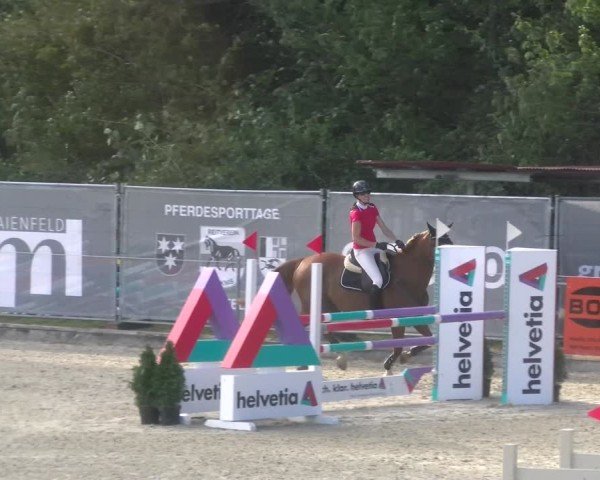 Reitturnier Maienfeld 2024