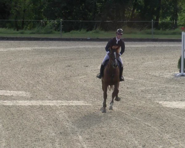 Reitturnier Maienfeld 2024