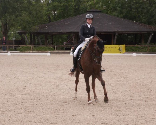 Reitturnier Leonberg 2024