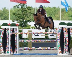 jumper Lycero St. Hubert (Belgian Warmblood, 2011, from Cicero Z van Paemel)