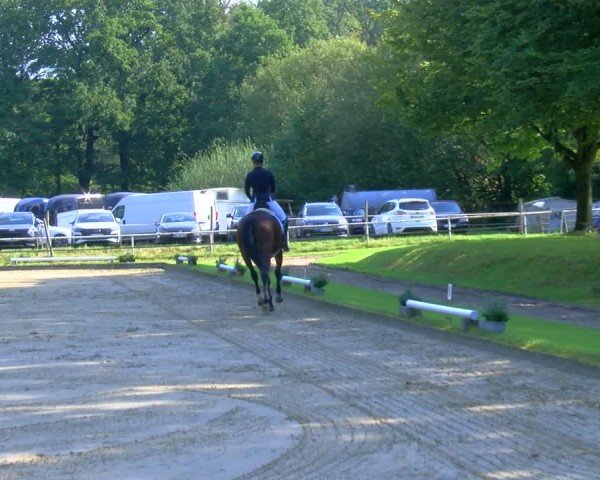 Reitturnier Dinslaken-Hiesfeld 2024