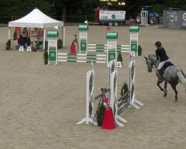 Reitturnier Maienfeld 2024