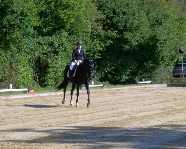 Reitturnier Dinslaken-Hiesfeld 2024