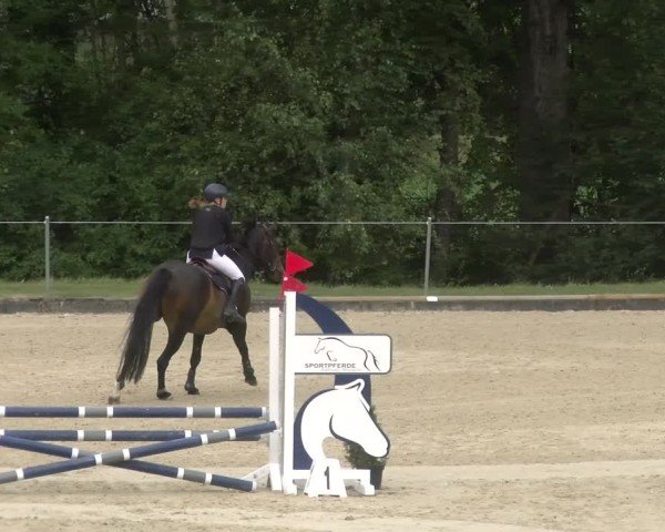 Reitturnier Maienfeld 2024