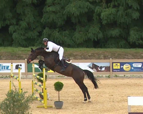 Reitturnier Tiefenhof/Opf. 2024
