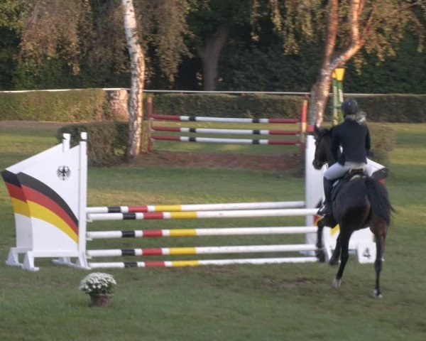Reitturnier Westeregeln 2024