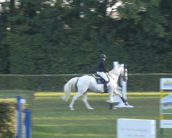 Reitturnier Westeregeln 2024
