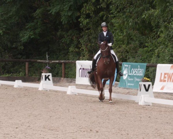 Reitturnier Leonberg 2024