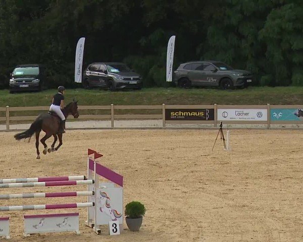 Reitturnier Tiefenhof/Opf. 2024