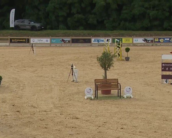 Reitturnier Tiefenhof/Opf. 2024