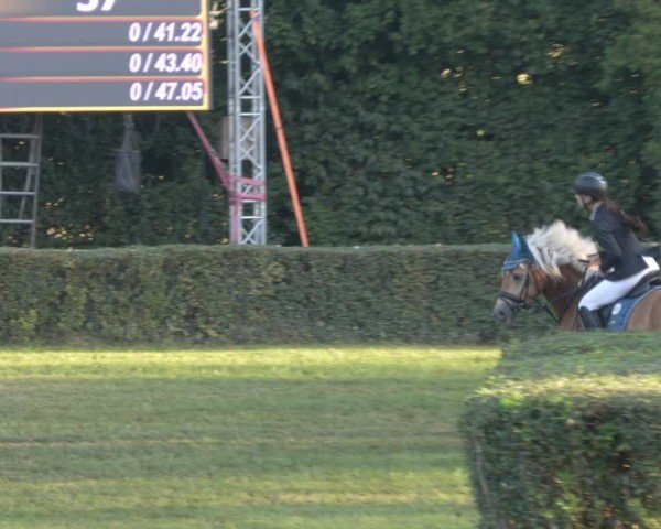 Reitturnier Westeregeln 2024