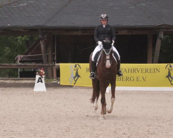 Reitturnier Leonberg 2024
