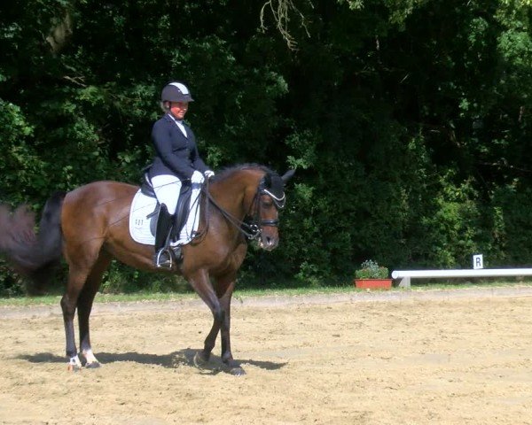 Reitturnier Dinslaken-Hiesfeld 2024