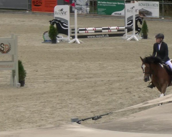 Reitturnier Maienfeld 2024