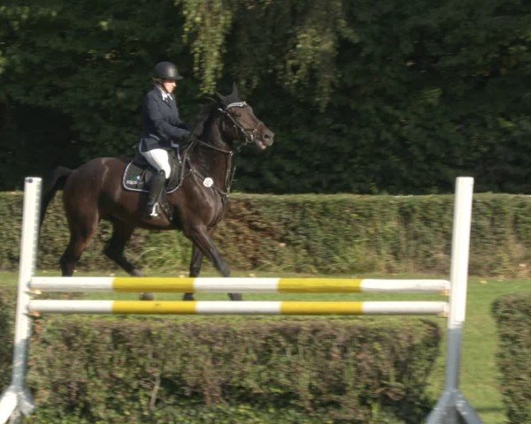 Reitturnier Westeregeln 2024