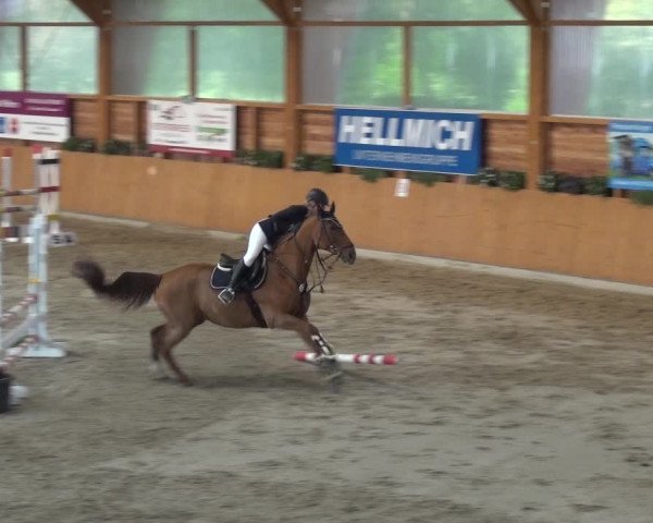 Springturnier Xanten - Reitanlage Miss 2021