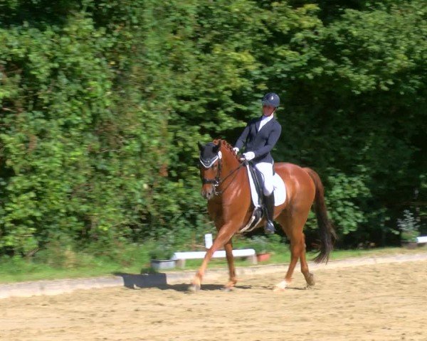 Reitturnier Dinslaken-Hiesfeld 2024