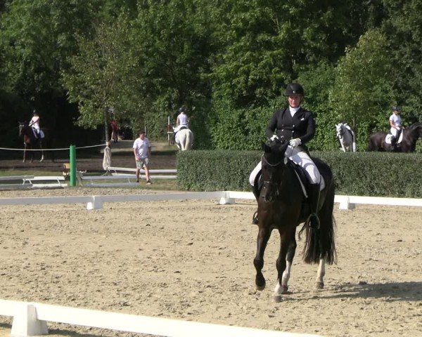 Reitturnier Westeregeln 2024
