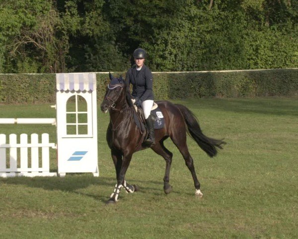 Reitturnier Westeregeln 2024