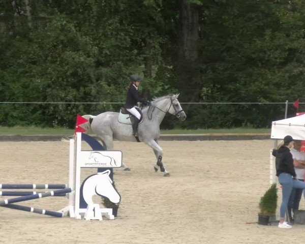 Reitturnier Maienfeld 2024