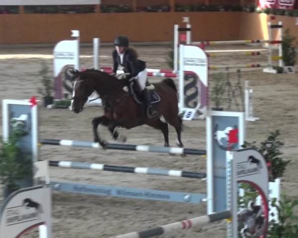 Springturnier Xanten - Reitanlage Miss 2021