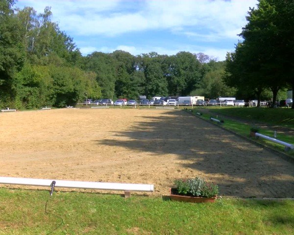 Reitturnier Dinslaken-Hiesfeld 2024