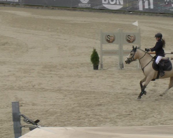 Reitturnier Maienfeld 2024