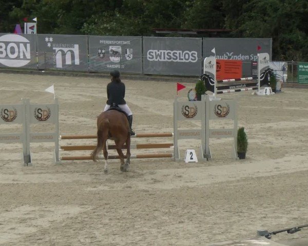 Reitturnier Maienfeld 2024