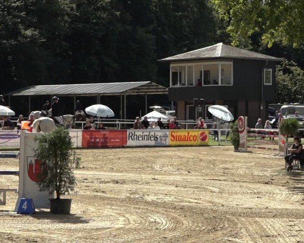 Reitturnier Dinslaken-Hiesfeld 2024