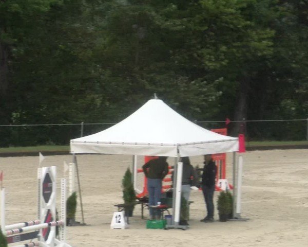 Reitturnier Maienfeld 2024