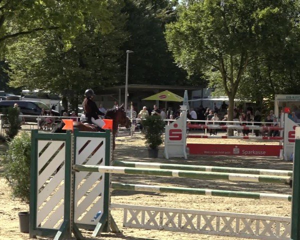 Reitturnier Dinslaken-Hiesfeld 2024
