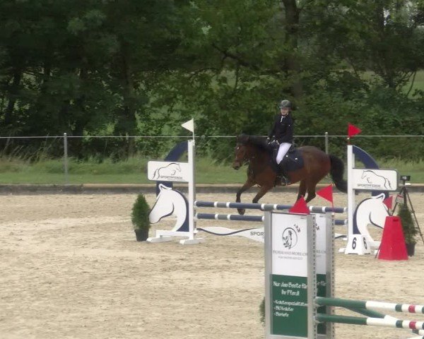 Reitturnier Maienfeld 2024