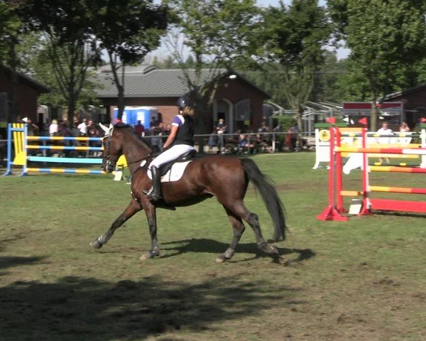 Reitturnier Münchehofe 2024
