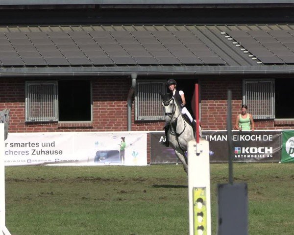 Reitturnier Münchehofe 2024