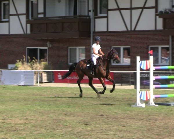 Reitturnier Münchehofe 2024