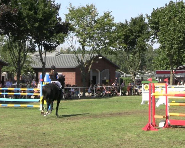 Reitturnier Münchehofe 2024