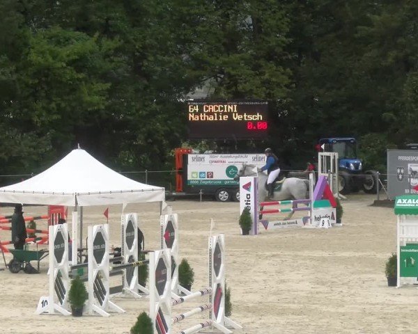 Reitturnier Maienfeld 2024