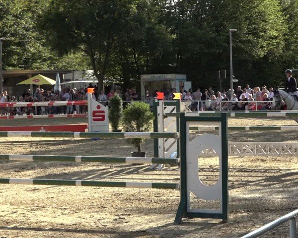 Reitturnier Dinslaken-Hiesfeld 2024