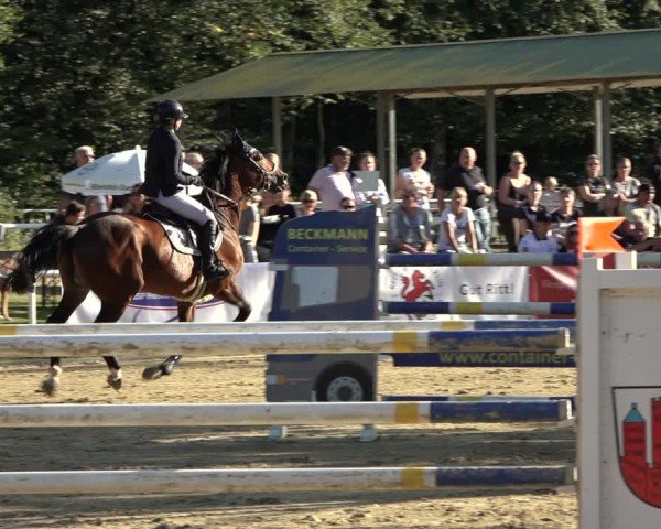 Reitturnier Dinslaken-Hiesfeld 2024