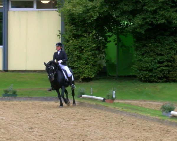 Reitturnier Dinslaken-Hiesfeld 2024