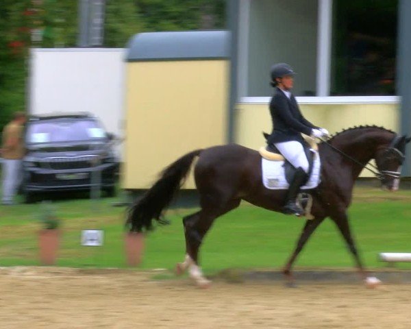 Reitturnier Dinslaken-Hiesfeld 2024