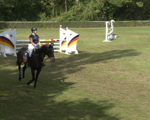 Reitturnier Westeregeln 2024
