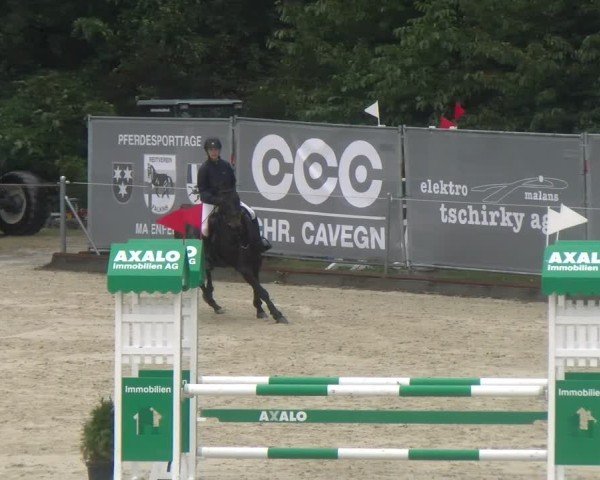 Reitturnier Maienfeld 2024