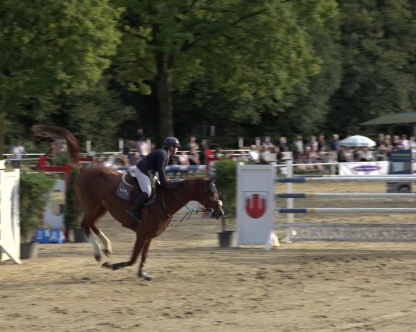 Reitturnier Dinslaken-Hiesfeld 2024