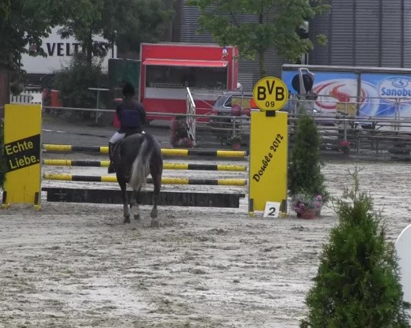 Schwerte - Gut Kückshausen 2013