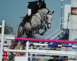 jumper Erania (KWPN (Royal Dutch Sporthorse), 2009, from Guccio)